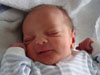 Picture 0011