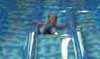 On The Large Slide